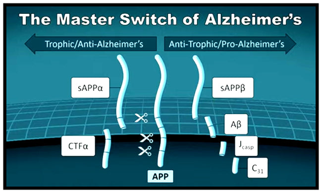 FDA Approves Alzheimer's Drug